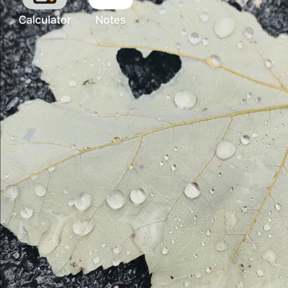 Meet your Posher, Robin